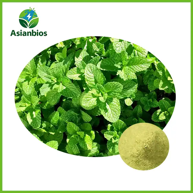 Mint Leaf Powder